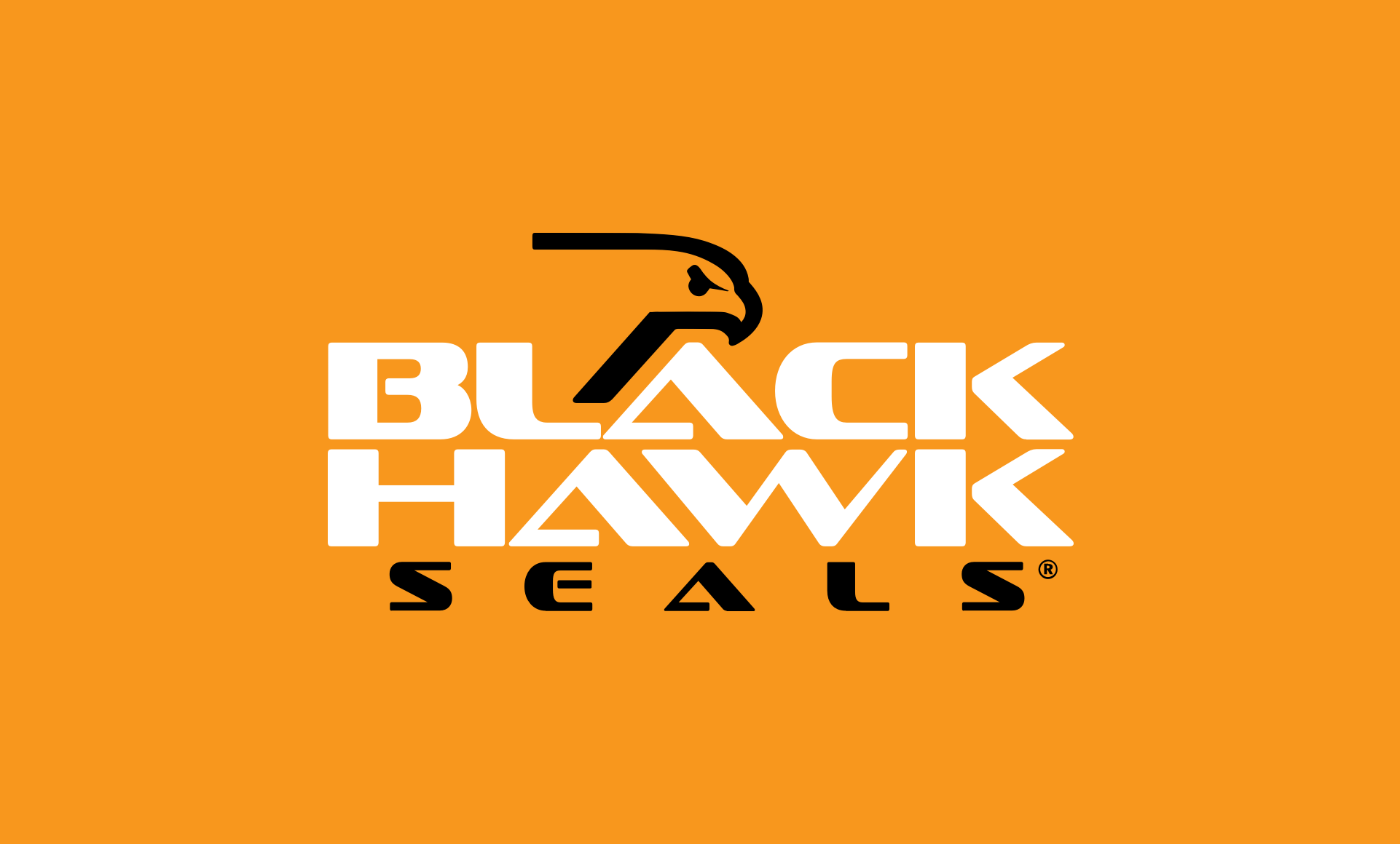 Black Hawk Seals. People are talking.