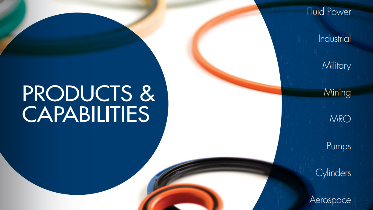 PSP Seals Products & Capabilities