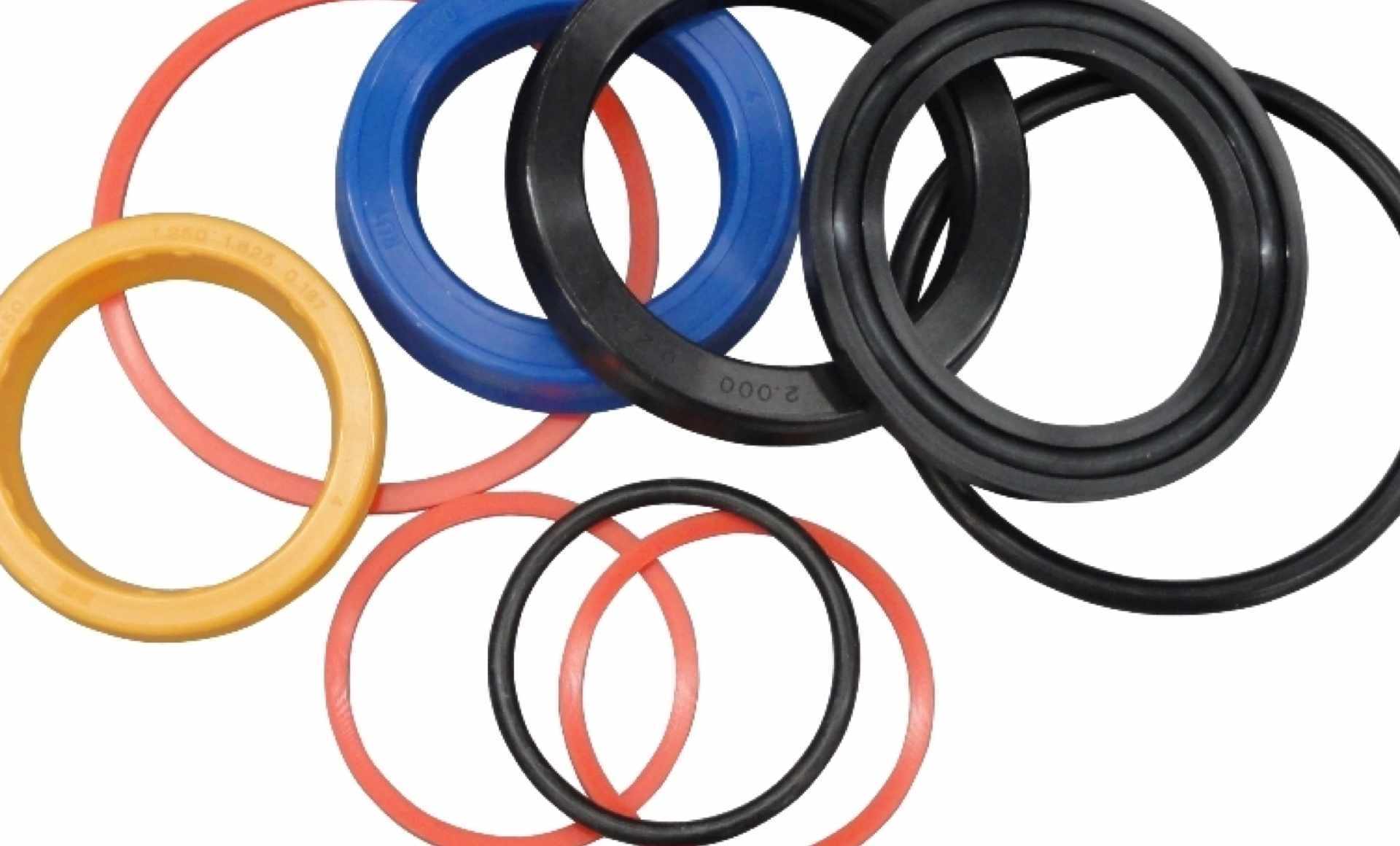 O-ring Degradation: Characteristics, Causes and Solutions